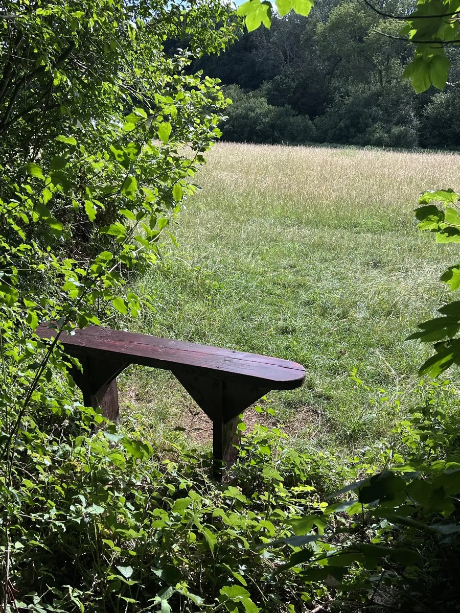 There is a Man in the Woods: Why I’m Terrified to Sleep Under the Trees? (Part&nbsp;1)