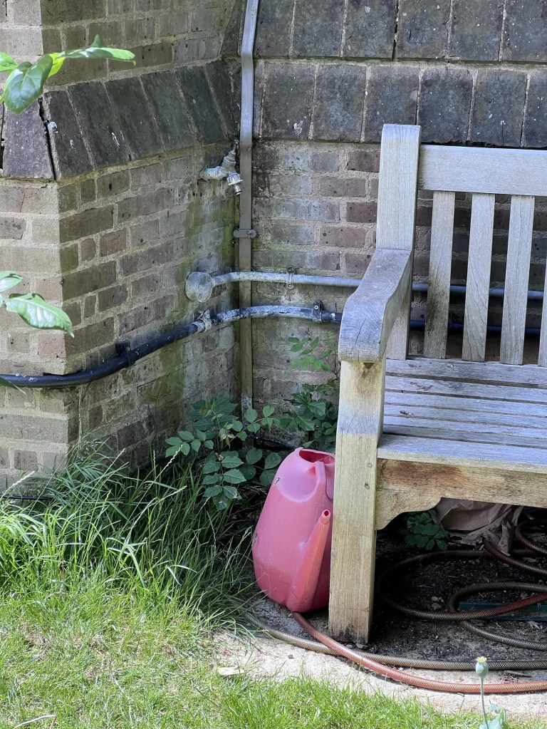 An outdoor metal tap is mounted on a weathered brick wall next to a wooden bench. A bright pink plastic watering can and a coiled garden hose rest on the ground nearby, surrounded by patches of green grass and wild weeds.