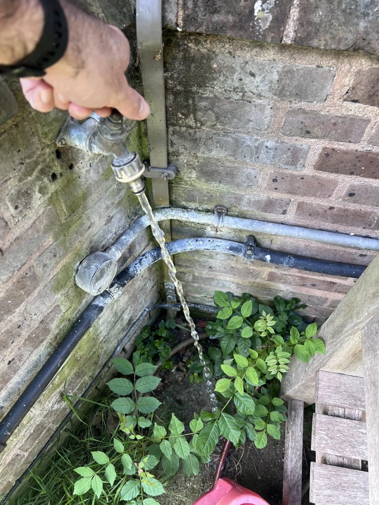 A hand turns an outdoor metal tap mounted on a weathered brick wall, releasing a steady stream of water toward the ground below. Green leafy plants grow in the corner underneath the exposed pipes next to a wooden bench.